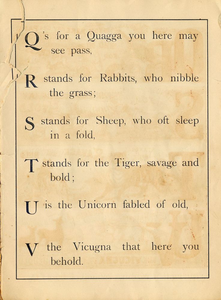 Scan 0013 of The ABC of animals [State 1]
