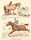 Thumbnail 0011 of The ABC of horses