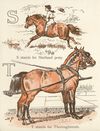 Thumbnail 0012 of The ABC of horses