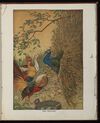 Thumbnail 0053 of The Aesop for children