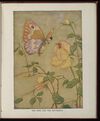 Thumbnail 0093 of The Aesop for children