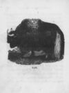 Thumbnail 0098 of An alphabet of quadrupeds