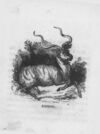 Thumbnail 0110 of An alphabet of quadrupeds