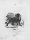 Thumbnail 0122 of An alphabet of quadrupeds