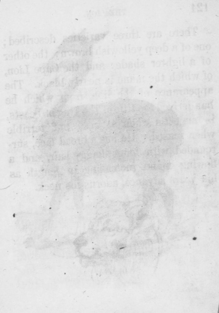 Scan 0125 of An alphabet of quadrupeds