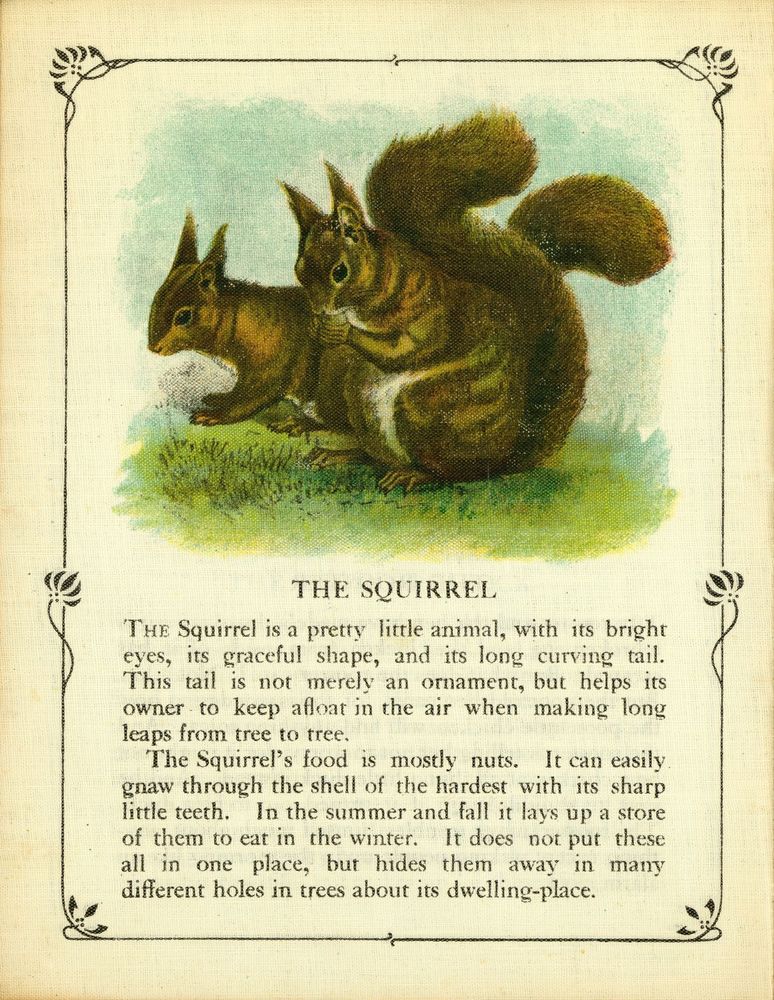 Scan 0008 of Animal pictures and stories