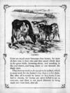 Thumbnail 0004 of Animals of the farm