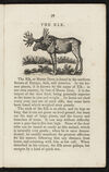 Thumbnail 0019 of Animal biography, or, Book of natural history