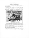Thumbnail 0013 of Arm chair stories
