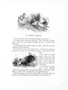 Thumbnail 0014 of Arm chair stories