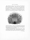 Thumbnail 0028 of Arm chair stories