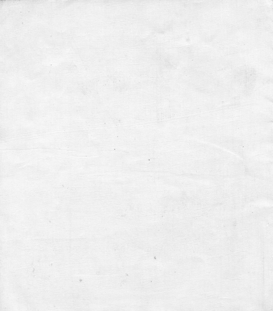 Scan 0009 of Aunt Louisa