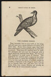 Thumbnail 0010 of The aviary, or, Child