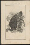 Thumbnail 0012 of The aviary, or, Child