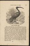 Thumbnail 0011 of The aviary, or, Child