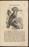 Thumbnail 0019 of The aviary, or, Child