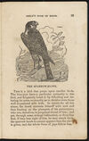 Thumbnail 0021 of The aviary, or, Child