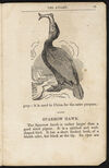 Thumbnail 0025 of The aviary