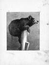 Thumbnail 0007 of Baby dear