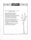 Thumbnail 0032 of Baby dear