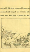 Thumbnail 0010 of Battle of the monkey and the crab