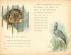 Thumbnail 0013 of Behind the bars at the zoo