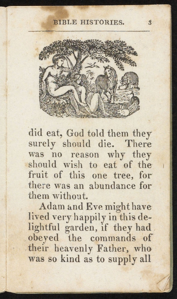 Scan 0005 of Bible histories