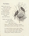 Thumbnail 0011 of Birds in their homes