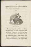 Thumbnail 0012 of The book of fruits