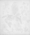 Thumbnail 0020 of Buttercups and daisies and other pretty flowers