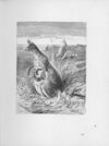 Thumbnail 0023 of Chatterbox stories of natural history