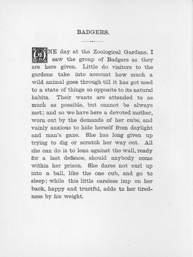 Scan 0034 of Chatterbox stories of natural history