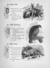 Thumbnail 0057 of Chatterbox stories of natural history