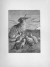 Thumbnail 0059 of Chatterbox stories of natural history