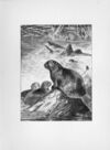 Thumbnail 0067 of Chatterbox stories of natural history