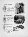 Thumbnail 0079 of Chatterbox stories of natural history