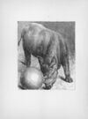 Thumbnail 0089 of Chatterbox stories of natural history