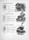 Thumbnail 0113 of Chatterbox stories of natural history