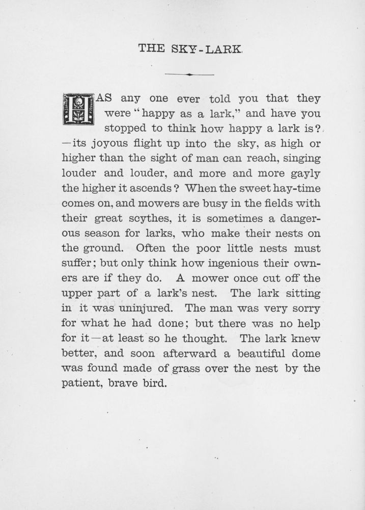 Scan 0140 of Chatterbox stories of natural history
