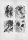 Thumbnail 0142 of Chatterbox stories of natural history