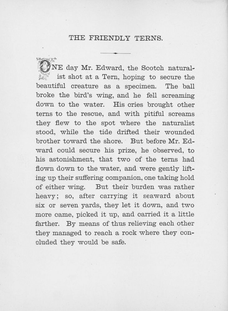 Scan 0154 of Chatterbox stories of natural history