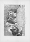 Thumbnail 0156 of Chatterbox stories of natural history