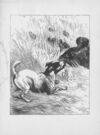 Thumbnail 0175 of Chatterbox stories of natural history