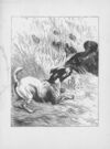 Thumbnail 0175 of Chatterbox stories of natural history