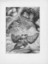 Thumbnail 0177 of Chatterbox stories of natural history