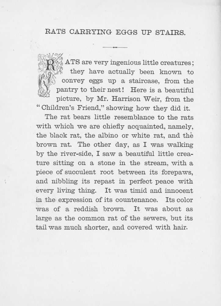 Scan 0178 of Chatterbox stories of natural history
