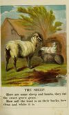 Thumbnail 0013 of Childs first book