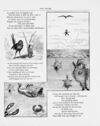 Thumbnail 0030 of Child lore