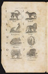 Thumbnail 0004 of Child