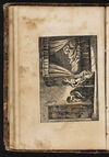 Thumbnail 0074 of The child
